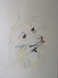 „Luna“, Ölkreide auf Papier, 100 x 70cm, © Wolfgang Marquart